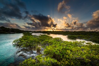 Casa Cenote Yal Ku